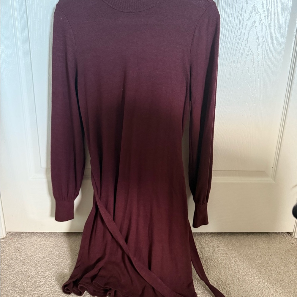 Abercrombie & Fitch Maroon Knit Dress